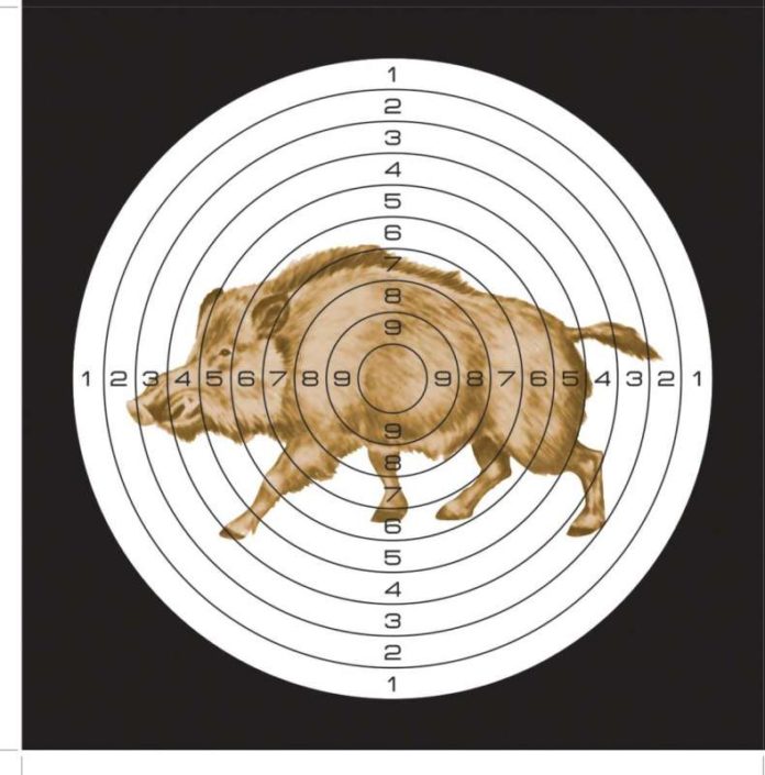 mishen-kartinka-kaban