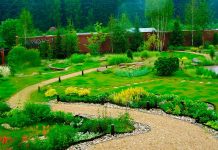 Гармония на участке: простой путь к ландшафтному дизайну, который действительно работает