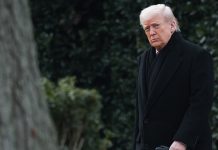 Трамп пообещал заняться вопросом создания истребителя шестого поколения