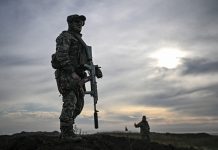 «Завершили разгром окружённой группировки ВСУ»: Путину доложили об освобождении Димитрова и Гуляйполя