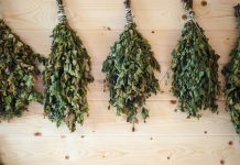 Как хранить веники для бани: подготовка и подходящие условия