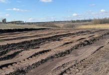 Ущерб от земляных работ у реки Усмань в Воронеже оценили в 11 млн