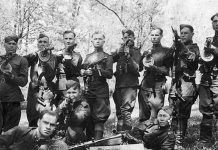 Операция «Большая блокада» 1946: хронология, потери, итоги