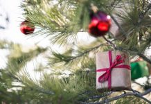 Как убрать елку и не засыпать всю квартиру иголками