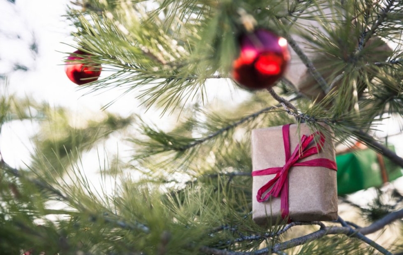 Как убрать елку и не засыпать всю квартиру иголками