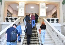 Шесть новых санаториев откроют в Петербургской агломерации до 2029 года