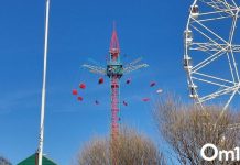 В Омске парк 300-летия могут передать инвестору для создания глэмпинга