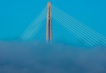 В спецрайоне на острове Русском зарегистрированы новые резиденты