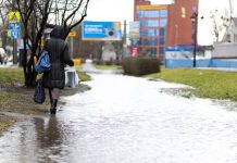 Дятлова заявила о масштабной реконструкции Советского проспекта, которая может начаться в 2026-м и продлится три года