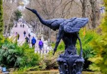 Глава Ростовской области запретил строительство апарт-отеля в парке Горького