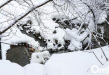 В Новосибирске в пойме реки Каменки построят коллектор за 10 миллионов