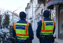 «Деньги украинской военной мафии»: что известно о задержании в Венгрии семерых украинцев с валютой и золотом