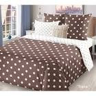 images - 2026-03-03T034200.062