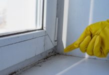 Как убрать плесень с окон: народные средства и бытовая химия