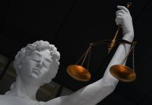 Суд вернул государству почти 60 гектаров земли в центре Красноярска