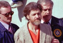 История террориста Теодора Качинского: преступления и факты