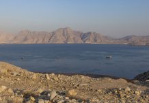 «Элемент дипломатической игры»: что может стоять за планами Ирана по Ормузскому проливу