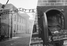 «Организованное умерщвление людей»: как нацистские инженеры превратили газовые камеры и крематории в индустрию смерти