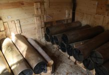 «Абсолютно безрассудный шаг»: Шойгу предупредил о катастрофе в случае захвата Киевом складов боеприпасов в Приднестровье