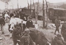 Операция «Висла» в 1947 году: причины, хронология, факты