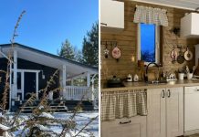 Личный опыт: без бюджета, но с мечтой — наш путь к уютному дому в Карелии