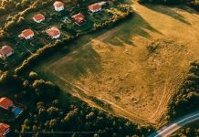 Пилотный проект по космическому мониторингу земель с ИИ запустят в Сибири