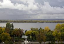 В Самаре создадут питомник растений для озеленения городской набережной