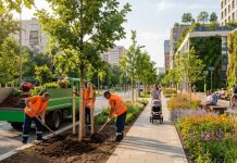 Стандарты озеленения для новых жилых комплексов обновят в Москве