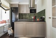 Насыщенные цвета, винтаж и много хранения: двухкомнатная хрущевка 67 м² для пары с корги