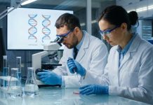 «Может стать устойчивым патогеном»: что такое «зеркальная жизнь» и почему учёные опасаются её появления