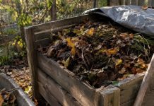 Что заложить в компост осенью, чтобы весной не получить мокрую кислую массу