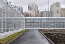 На строительство базы тепличного хозяйства в Казани направят еще 1,7 млрд рублей