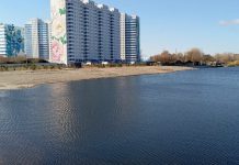 Участок у «озера смерти» в Новосибирске продали со скидкой 59 миллионов